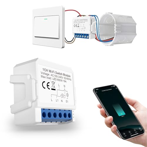 AVATTO WiFi Smart Switch Relay Module Light Switch Remote Control with App Smart Home Interruptor Work Compatible with Alexa and Google Home Only support 2.4G network