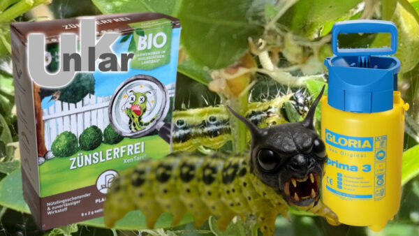 Buchsbaumzünsler bekämpfen